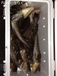 �����ʥ�