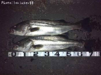 �����Х�