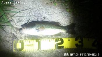 �֥�å��Х�