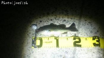 ¥Ö¥é¥Ã¥¯¥Ð¥¹