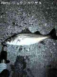 �����Х�