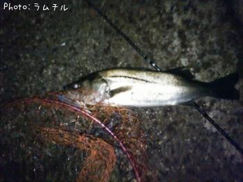 �����Х�