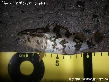 �����Υ���Х�