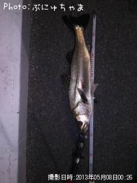 �����Х�