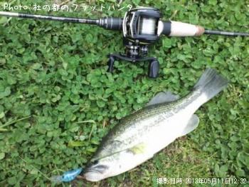 �֥�å��Х�