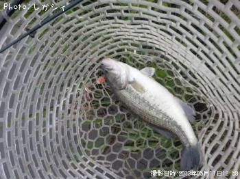 �֥�å��Х�