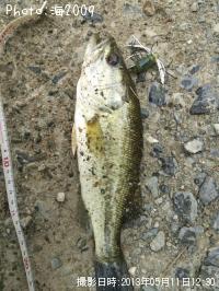 �֥�å��Х�