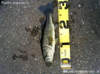 �֥�å��Х�