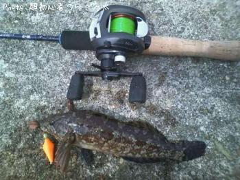 �����ʥ�