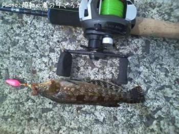 �����ʥ�