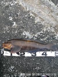 �����ʥ�