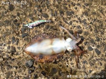 �����ꥤ��