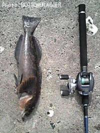 �����ʥ�