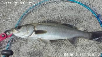 �����Х�