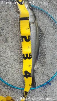 �����Х�