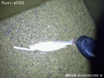 �ޥ�ƥ����ˣʣ�