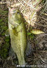 �֥�å��Х�