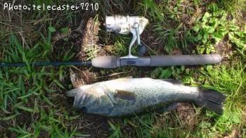 �֥�å��Х�