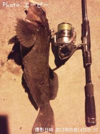 �����ʥ�