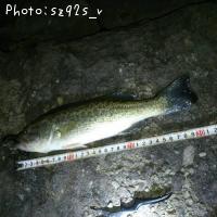 �֥�å��Х�