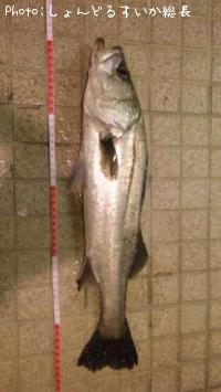 �����Х�