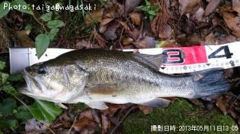 ¡¡¥Ö¥é¥Ã¥¯¥Ð¥¹