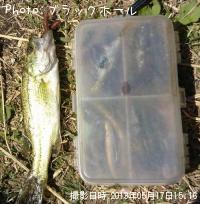 ¥Ö¥é¥Ã¥¯¥Ð¥¹