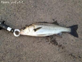 �����Х�