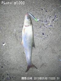 �ޥ�ƥ����ˣʣ�