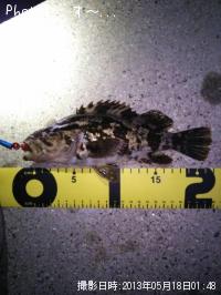 ¥¿¥±¥Î¥³¥á¥Ð¥ë