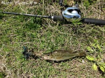 ¥Ö¥é¥Ã¥¯¥Ð¥¹