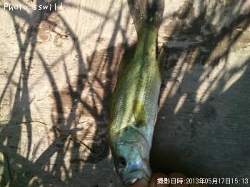 ¥Ö¥é¥Ã¥¯¥Ð¥¹