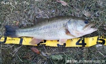 ¥Ö¥é¥Ã¥¯¥Ð¥¹