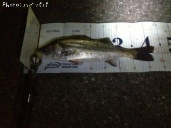 �����Х�