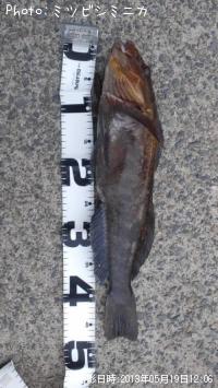 �����ʥ�