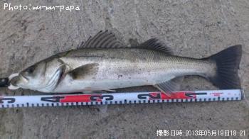 �����Х�