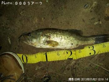 �֥�å��Х�