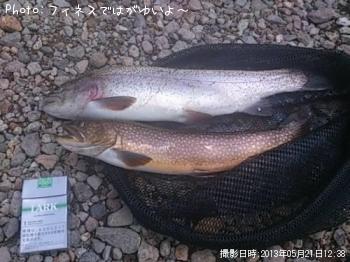 ¥¸¥ã¥¬¡¼¡©