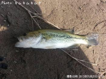 �֥�å��Х�