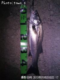 �����Х��ʥեå���