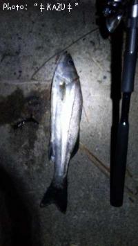 �����Х�