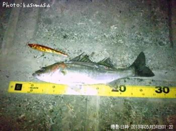 �����Х�