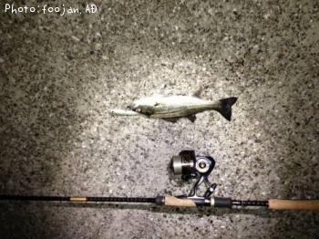 �����Х�