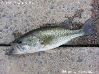 �֥�å��Х�