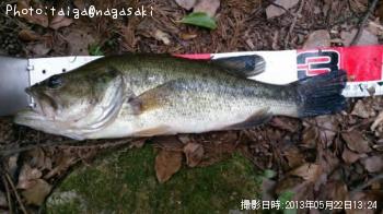 �֥�å��Х�