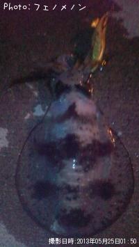 �����ꥤ��