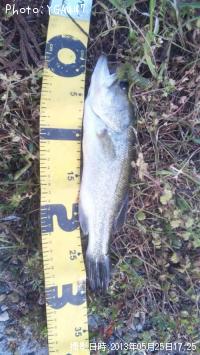 ¥Ö¥é¥Ã¥¯¥Ð¥¹