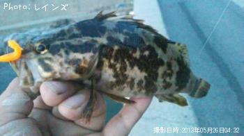 ¥¿¥±¥Î¥³¥á¥Ð¥ë