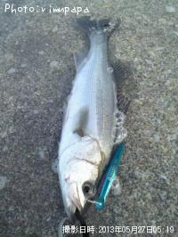 �����Х�