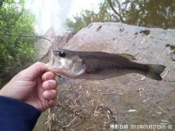 �֥�å��Х�